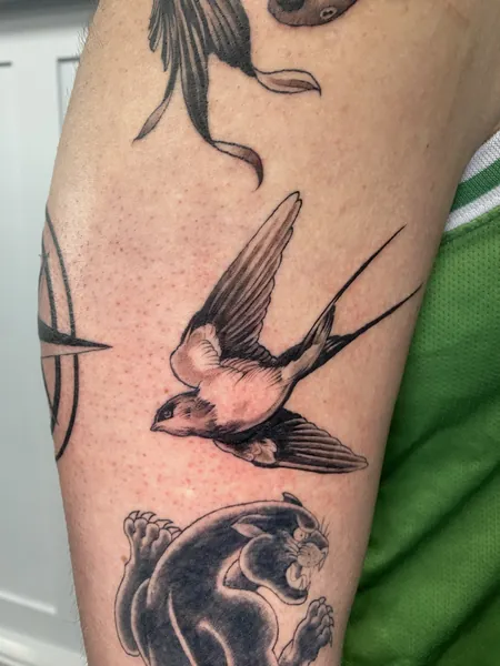 Swallow bird — black and grey realism tattoo by Lewis Zangaro, The SelfMade Tattoo Company, Wolverhampton