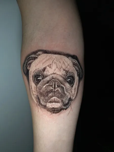 Pug portrait — black and grey realism tattoo by Lewis Zangaro, The SelfMade Tattoo Company, Wolverhampton